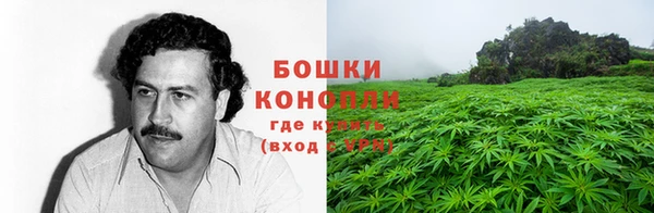 spice Балахна